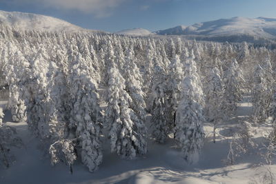 Scenic view of snow covered mountains against sky