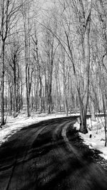 Bare trees on snow covered landscape