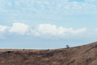 Scenic view of desert against sky