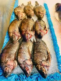 High angle view of fish for sale in market