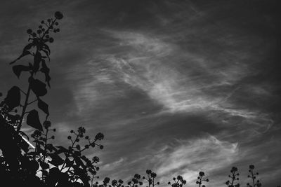 Low angle view of silhouette people against sky