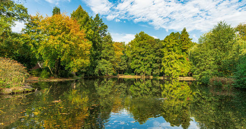 Scenic view of lake in forest against sky