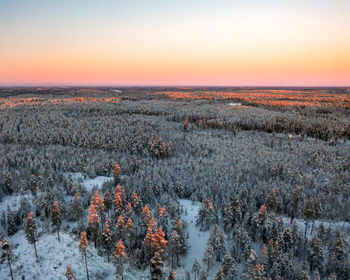 Sunset over snow covered trees during winter from drone perspective, otalampi, espoo, vihti, finland