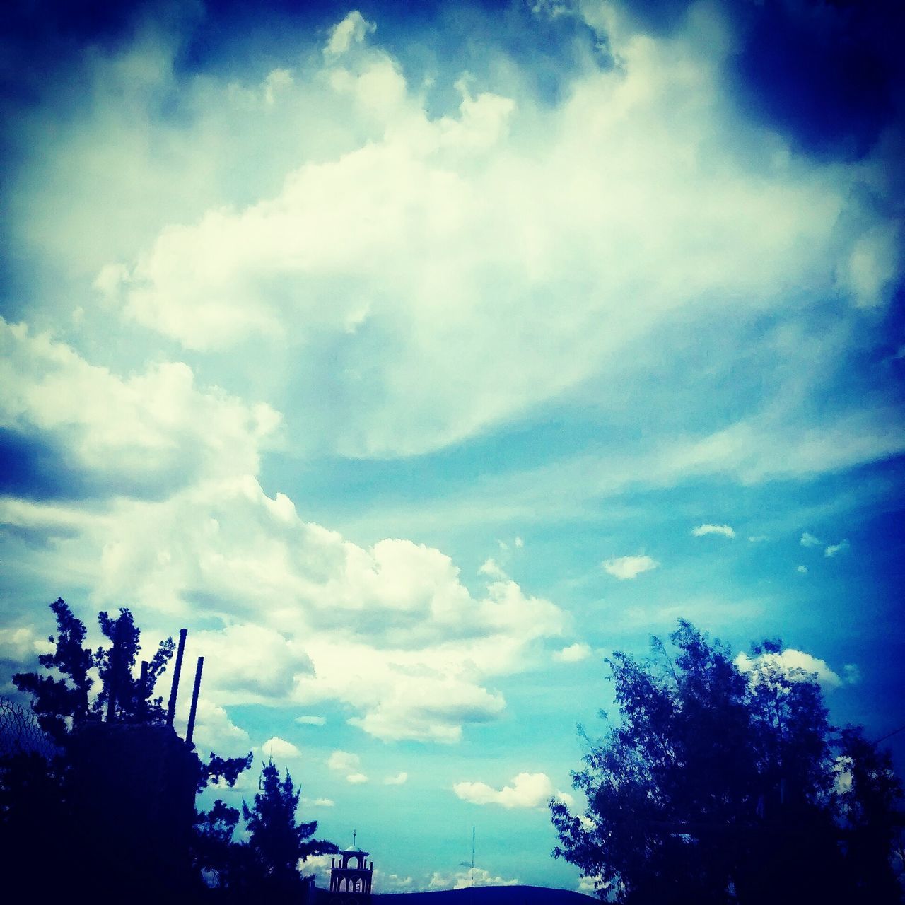 sky, tree, silhouette, low angle view, cloud - sky, tranquility, blue, beauty in nature, scenics, cloudy, tranquil scene, nature, cloud, growth, dusk, idyllic, outdoors, no people, cloudscape, branch