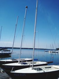 Sailboats moored in harbor