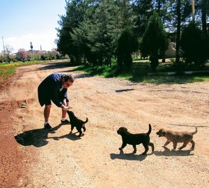 Full length of senior man playing with dogs on land in park