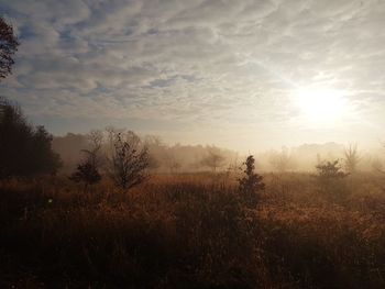 Scenic view of field against sky during sunset