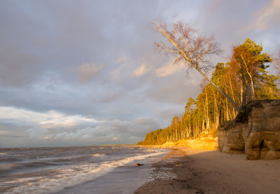 Scenic view of sea against cloudy sky