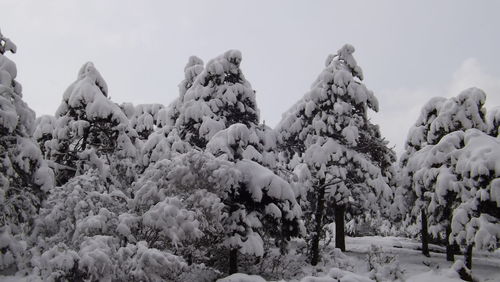 Scenic view of snow covered mountains