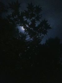 Reflection of trees in puddle against sky