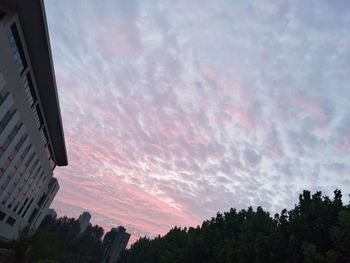 Trees in city against sky at sunset