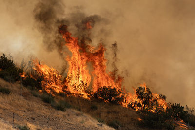 Panoramic view of bonfire