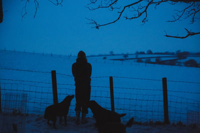 Silhouette man with dogs standing on snow at dusk