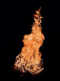 Close-up of bonfire against black background