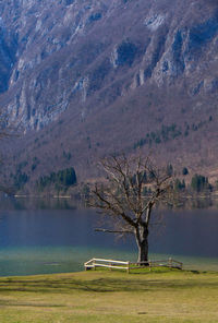 Scenic view of lake by mountain