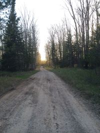 Road amidst trees against sky