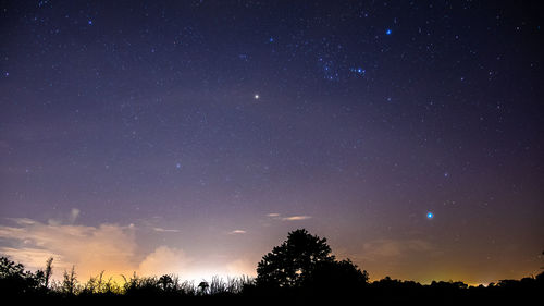 Low angle view of silhouette trees against sky at night