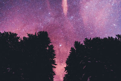 Low angle view of trees against sky at night