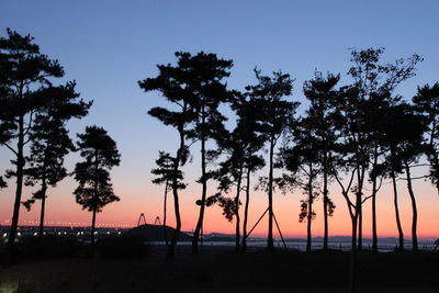 Silhouette trees by sea against clear sky during sunset