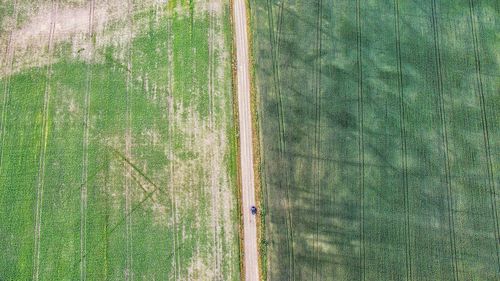 High angle view of agricultural field