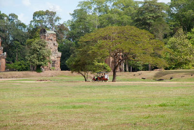 Man standing in park