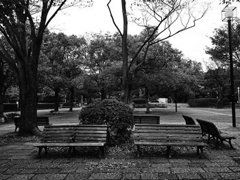 Empty bench in park