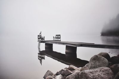 Reflection of trees in water
