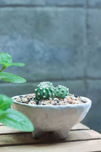 Close-up of dessert on table
