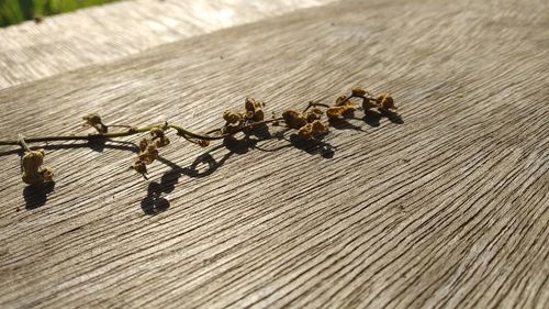 High angle view of toys on table