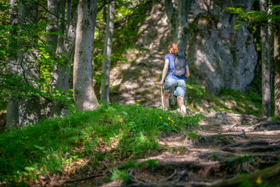 Rear view of woman hiking at forest