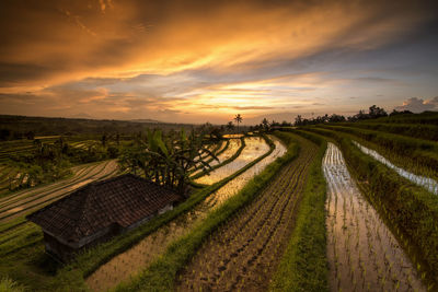 Panoramic shot of agricultural field against sky during sunset
