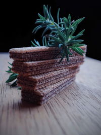 Close-up of potted plant on table