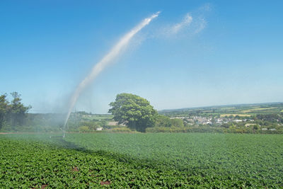 Scenic view of field against rainbow in sky