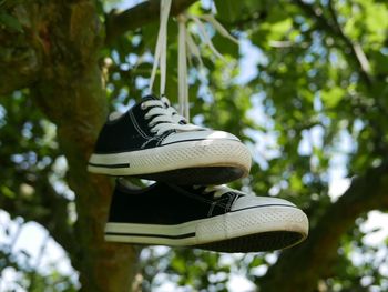 Low angle view of shoes hanging on tree