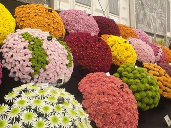 Close-up of multi colored flowers on market stall