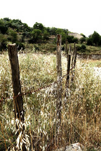 Wooden posts on field against sky