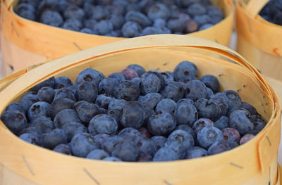 Close-up of fruits in container