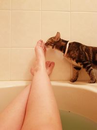 Low section of woman with cat at home