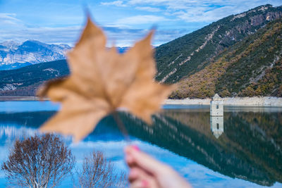 Cropped image of woman holding leaf against mountain