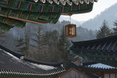Lantern hanging on roof of temple against trees