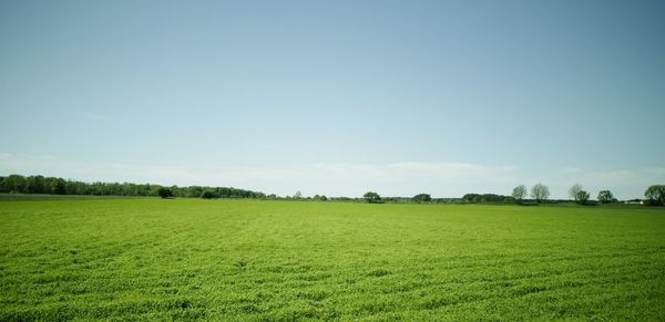 Scenic view of grassy landscape against sky on sunny day