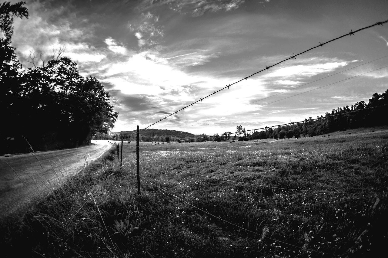 sky, field, tree, landscape, cloud - sky, tranquility, grass, tranquil scene, fence, cloud, nature, electricity pylon, rural scene, scenics, connection, cloudy, growth, outdoors, no people, sunlight