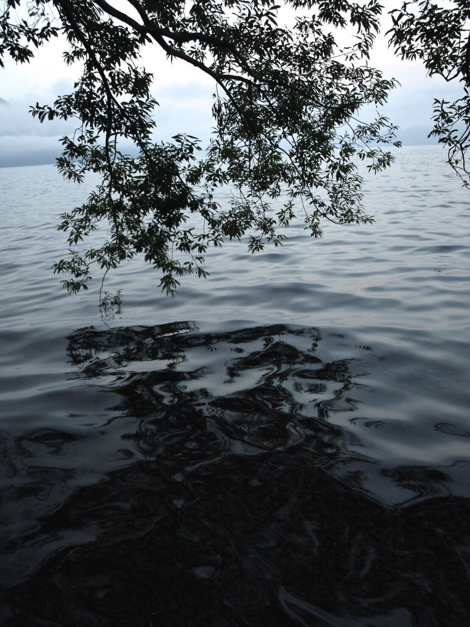 SCENIC VIEW OF LAKE