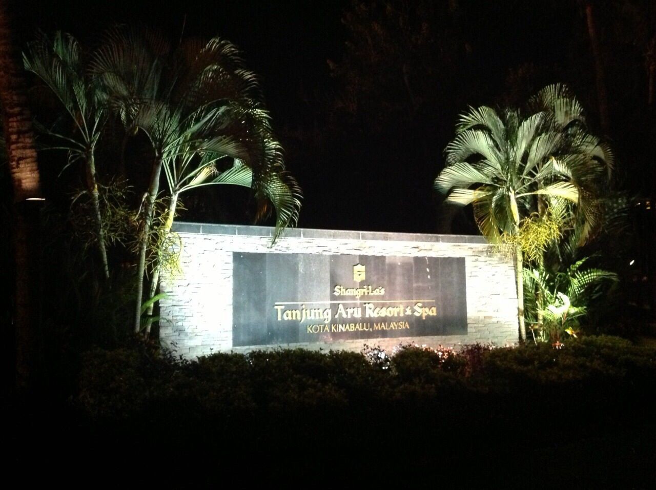 night, illuminated, dark, plant, sky, darkness, formal garden, electric light, garden, no people, darkroom, tranquility, solitude