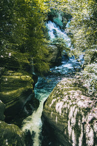 River flowing through rocks in forest