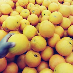Cropped image of holding oranges in market