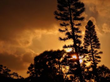 Low angle view of silhouette tree against sky during sunset