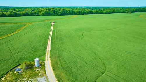 High angle view of agricultural field