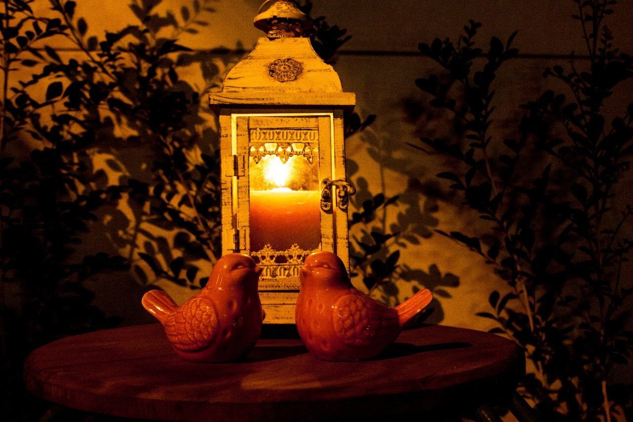 lighting equipment, illuminated, candle, burning, no people, fire, glowing, electric lamp, indoors, flame, fire - natural phenomenon, decoration, heat - temperature, nature, close-up, light, plant, table, food and drink, light - natural phenomenon, electricity, floral pattern