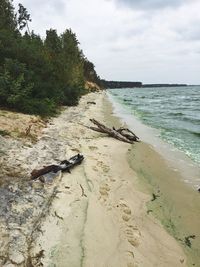 Scenic view of beach against sky